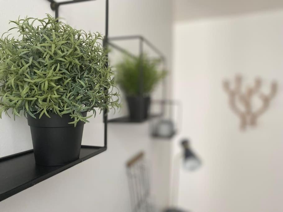 Les Beaux Arts, Appartement Au Coeur De Ρουέν Εξωτερικό φωτογραφία